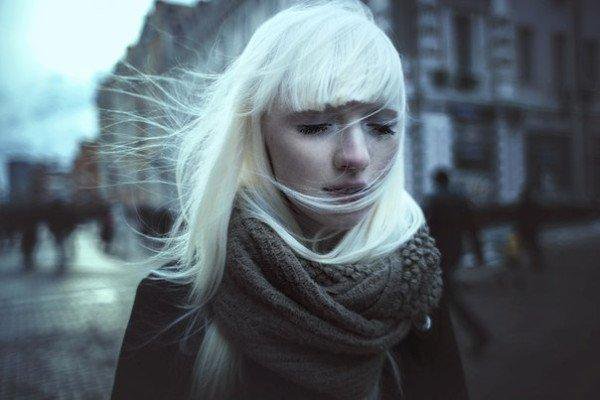 ããã¹ãã£ãã®ç»åæ¤ç´¢çµæ