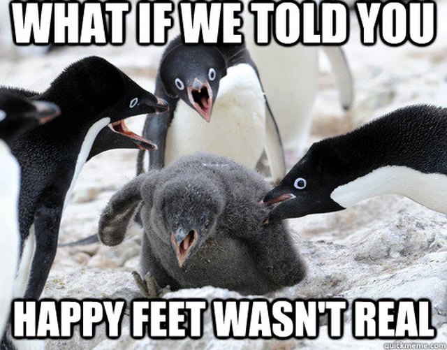 24 Memes That Prove Penguins Are The Funniest Animals On Earth