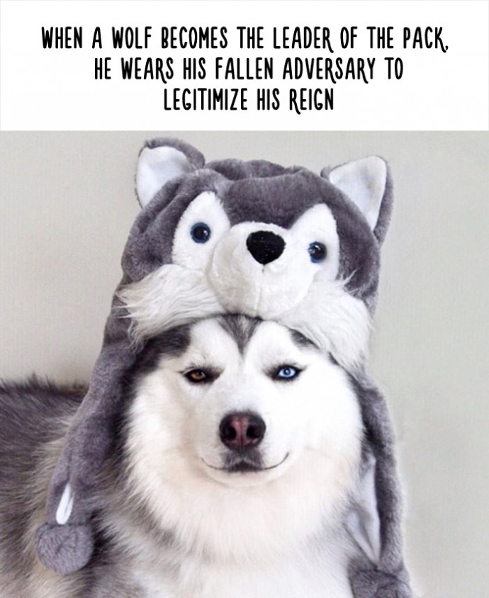 via: reddit.com