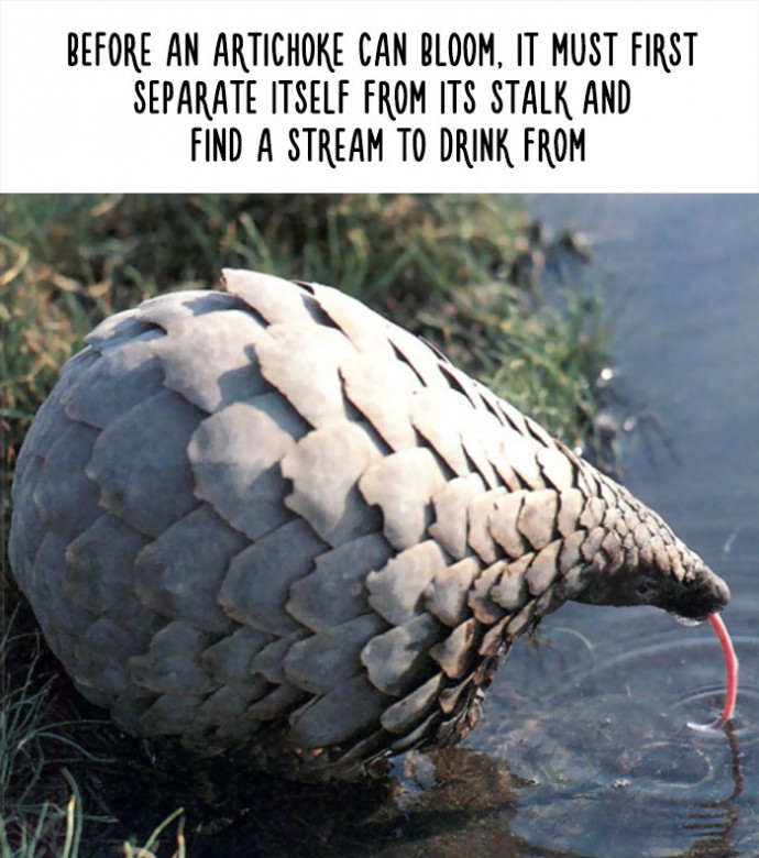 via: reddit.com