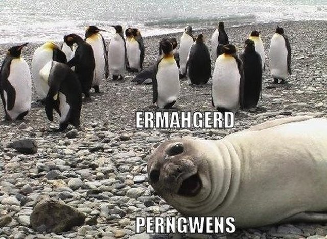24 Memes That Prove Penguins Are The Funniest Animals On Earth
