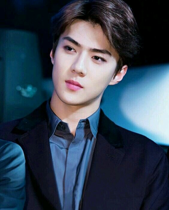 ãã»ãã³ exoãã®ç»åæ¤ç´¢çµæ