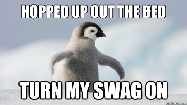 24 Memes That Prove Penguins Are The Funniest Animals On Earth