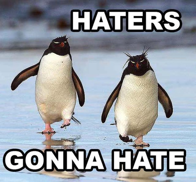 24 Memes That Prove Penguins Are The Funniest Animals On Earth