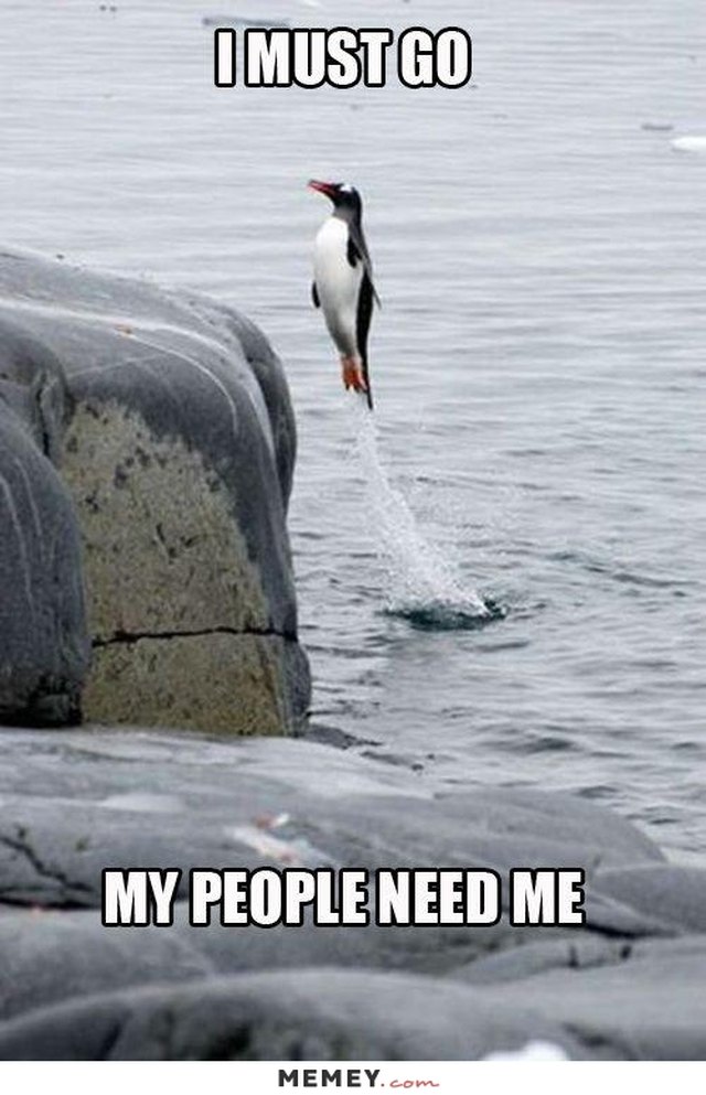 24 Memes That Prove Penguins Are The Funniest Animals On Earth