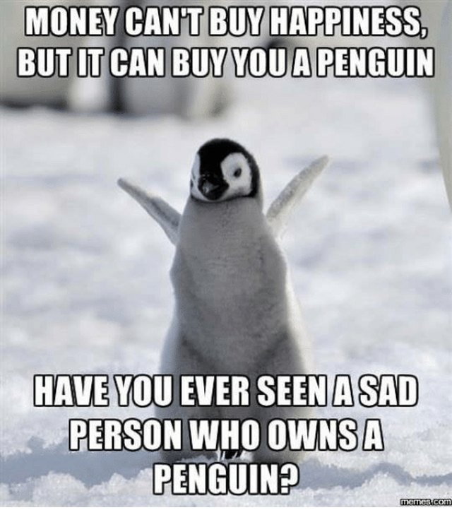 24 Memes That Prove Penguins Are The Funniest Animals On Earth