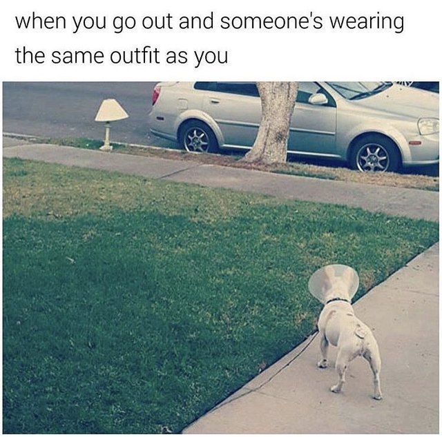 Dog wearing cone looking at lamp with lampshade the same size as the cone