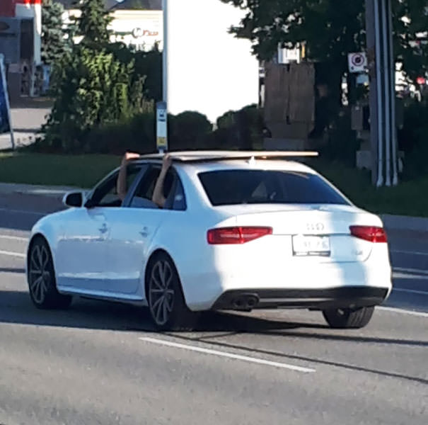 Why Bother Tieing This Sheet Of Wood Down When We Can Just Hold It On The Roof