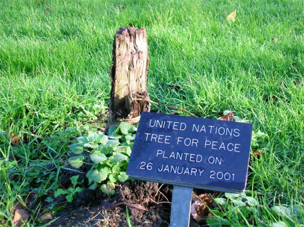  An Accurate Summary Of The UN