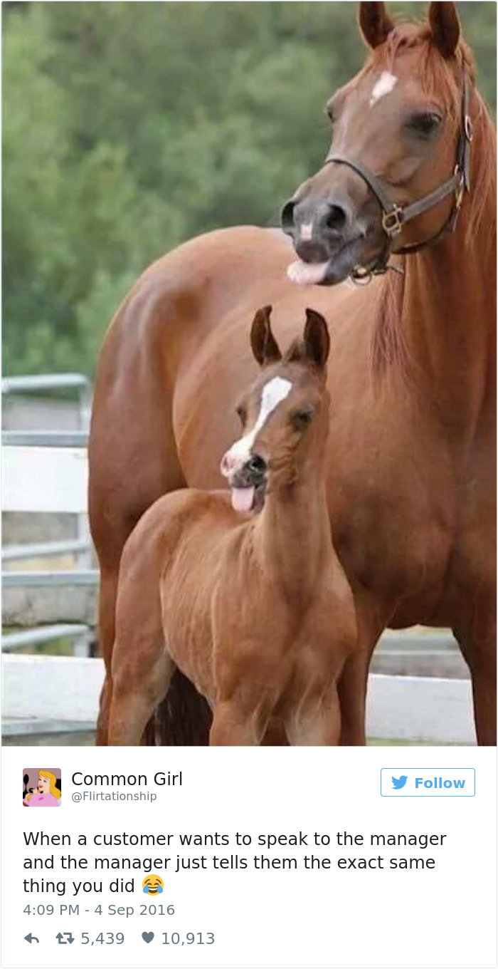 Funny memes about work 