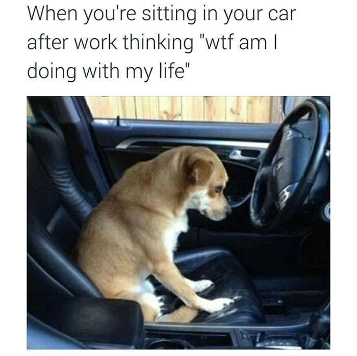 Funny memes about work 