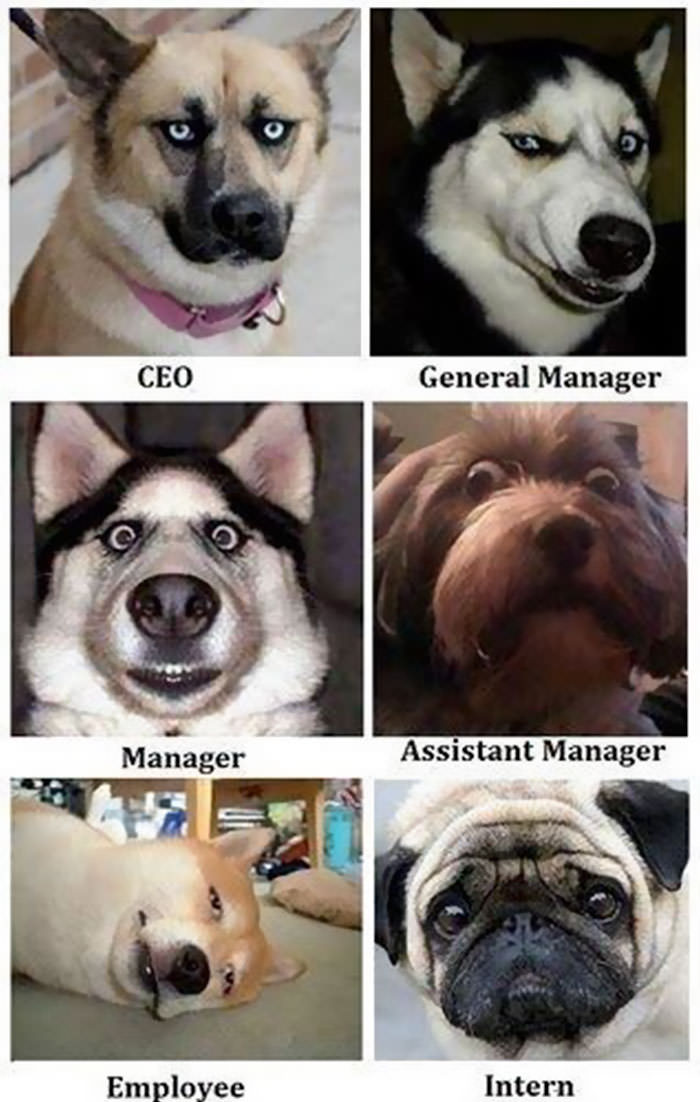 Funny memes about work 