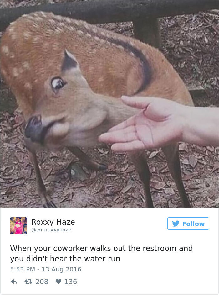 Funny memes about work 