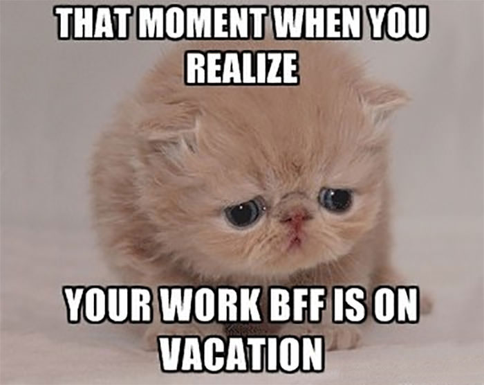 Funny memes about work 