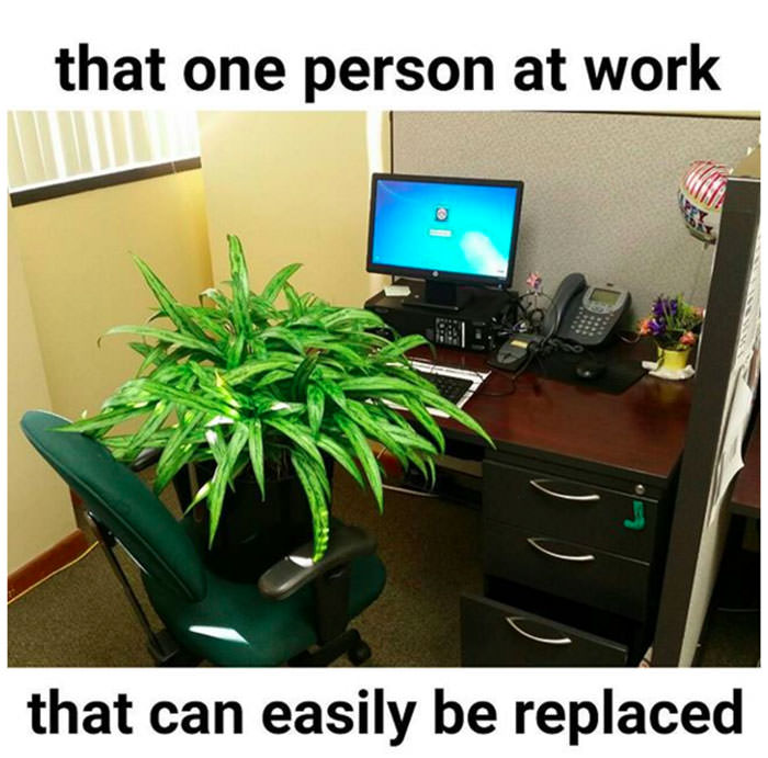 Funny memes about work 