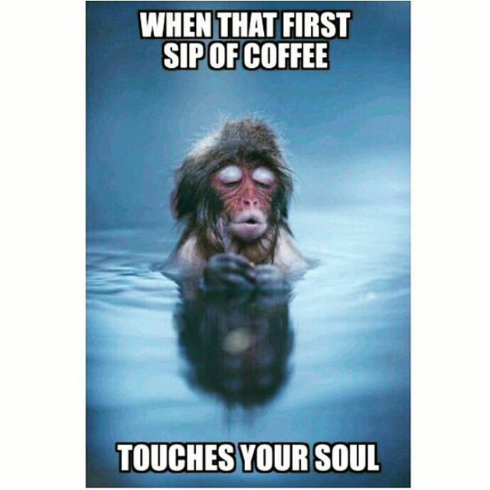 Funny memes about work 