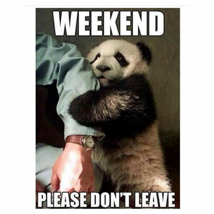 Funny memes about work 