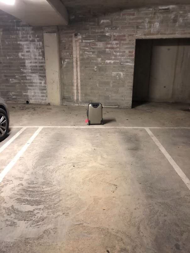  So, Looks Like My Neighbors Planned A Long Weekend Away