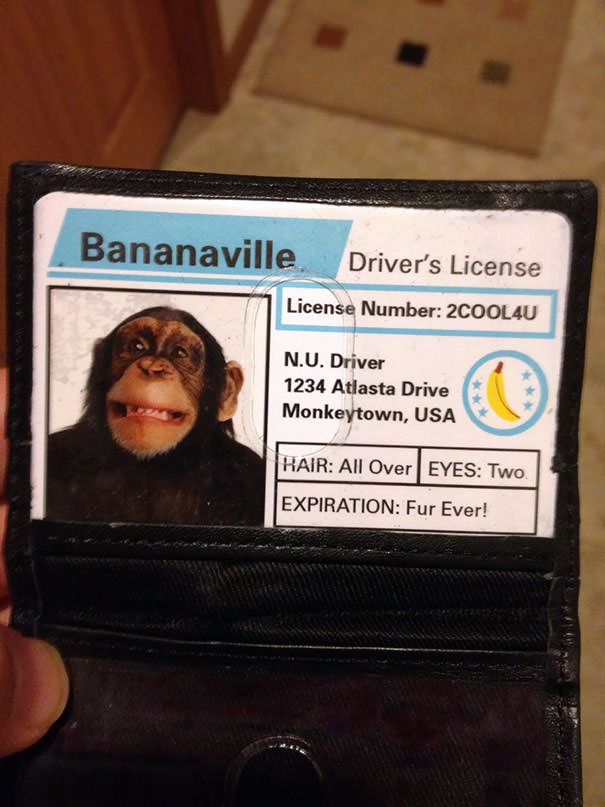  Got Pulled Over Today. Forgot I Had This In My Wallet Covering My Real License. Mr. Policeman Was Not Amused
