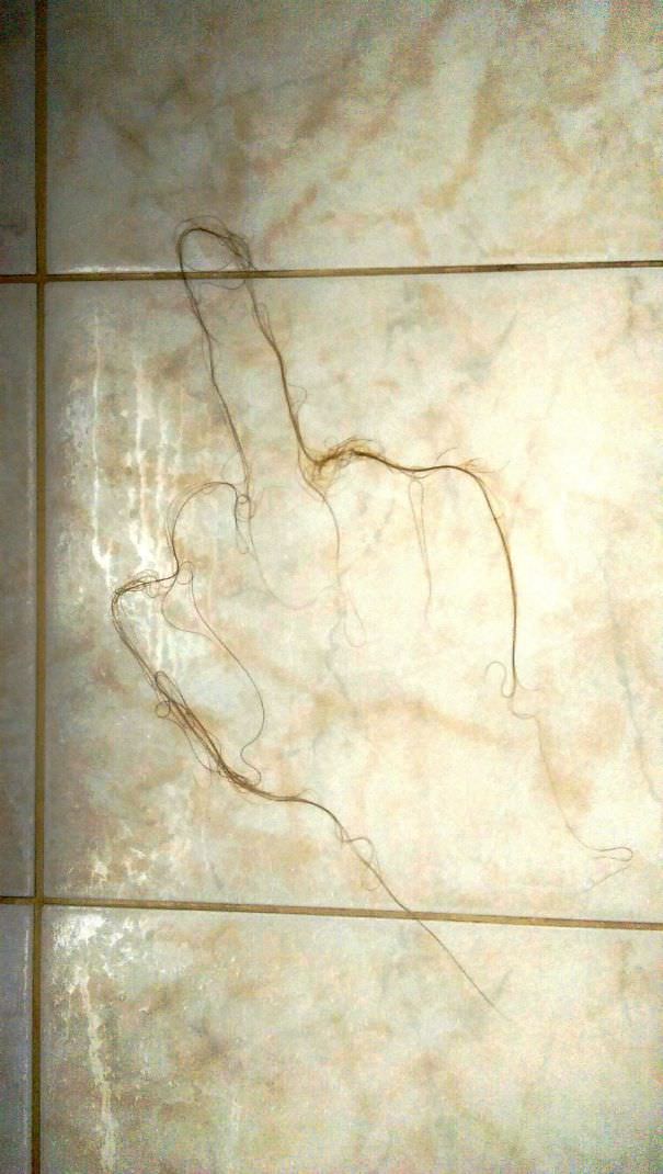 Girlfriend Forgot To Get Rid Of Her Gross "Shower Hair" I Decided To Make Some Art