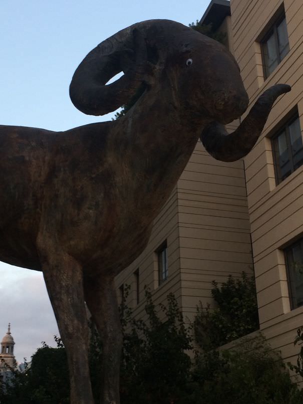 Someone Put Googly Eyes On This Sheep Statue