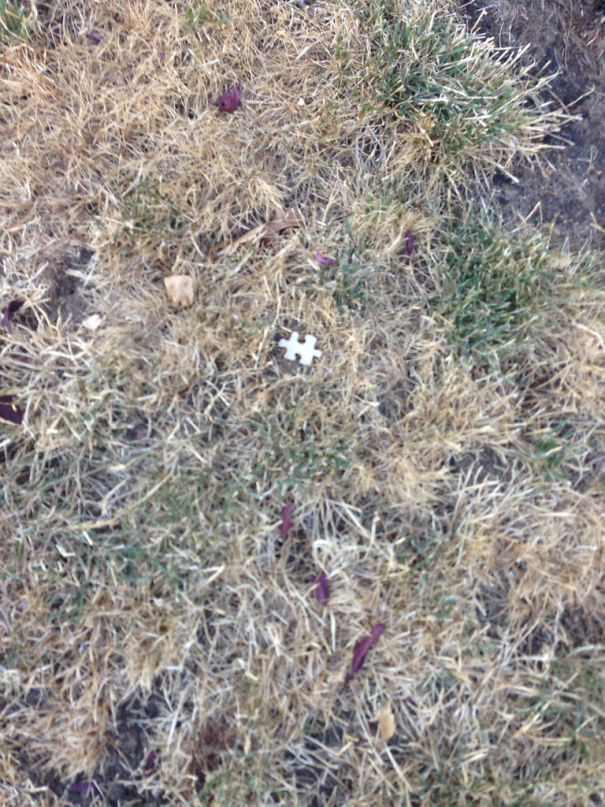 Somebody Must Be Having A Bad Day