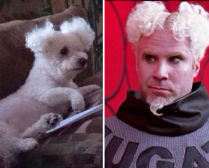 Abby And Will Ferrell