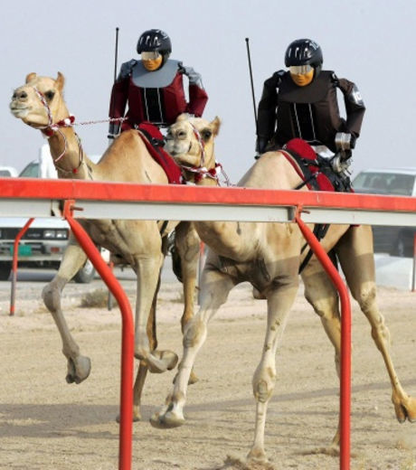 15 coisas incríveis que só acontecem em Dubai