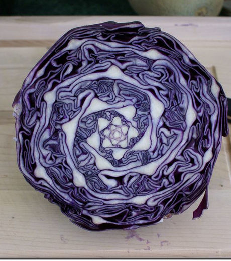 23 imagens incríveis que você provavelmente nunca viu