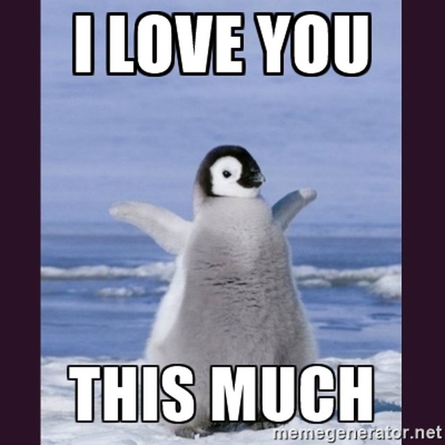 24 Memes That Prove Penguins Are The Funniest Animals On Earth