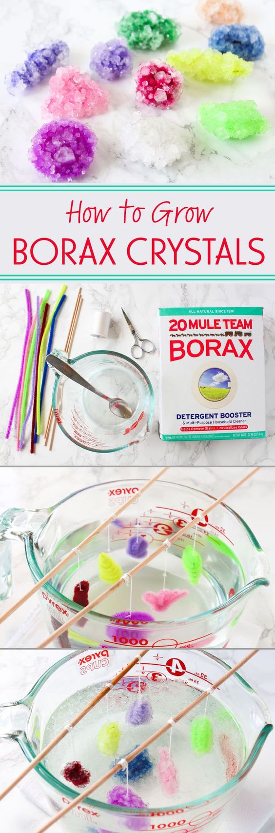 Growing Borax crystals is a fun science experiment that you can do easily and cheaply at home!