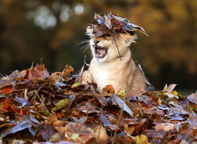 via: twentytwowords.com