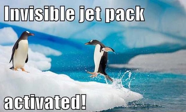 24 Memes That Prove Penguins Are The Funniest Animals On Earth
