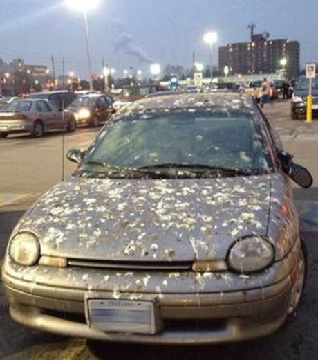 20 vinganças fantásticas contra pessoas que não sabem estacionar