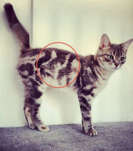 22 fotos que vão chamar sua atenção