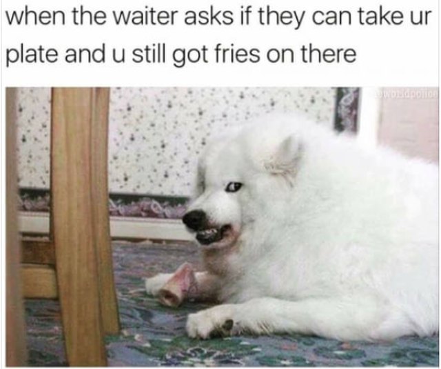 Dog with a bone growling at an intruder