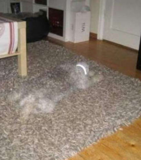 16 fotos que você terá que olhar duas vezes para entender