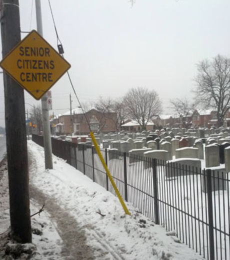 22 fotos que vão chamar sua atenção