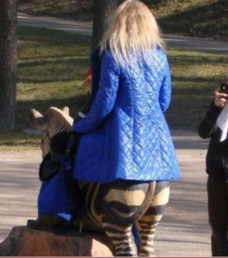 16 fotos que você terá que olhar duas vezes para entender