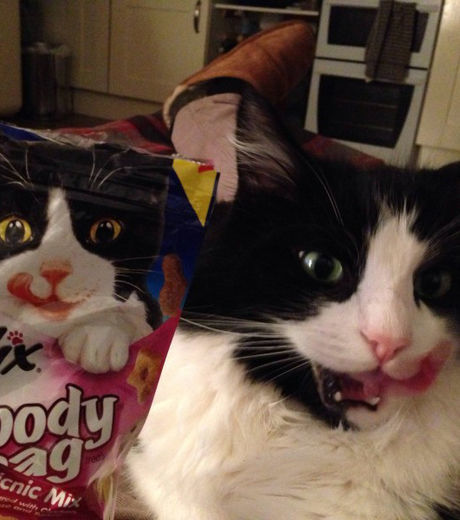 22 fotos que vão chamar sua atenção