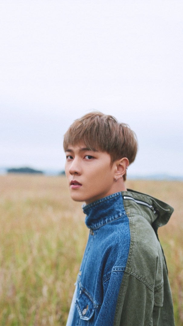 ãiKONãDKãã®ç»åæ¤ç´¢çµæ