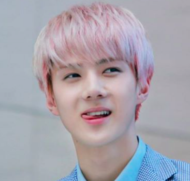 ãã»ãã³ exoãã®ç»åæ¤ç´¢çµæ