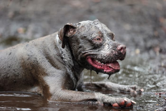 Photo by Bruce Bennett via mnn