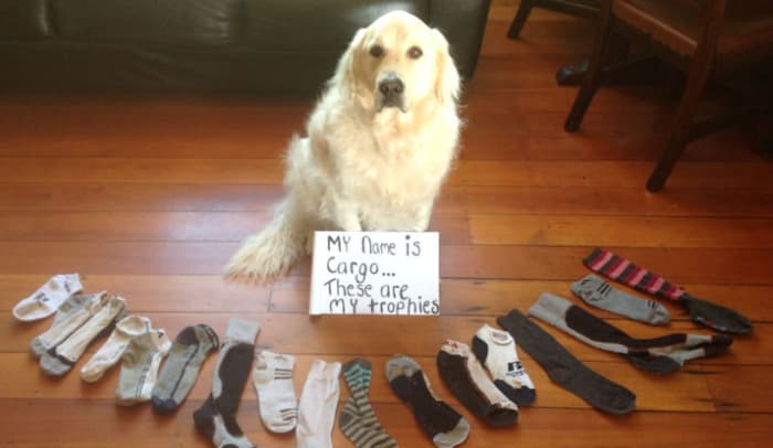 Image via abovetopsecret