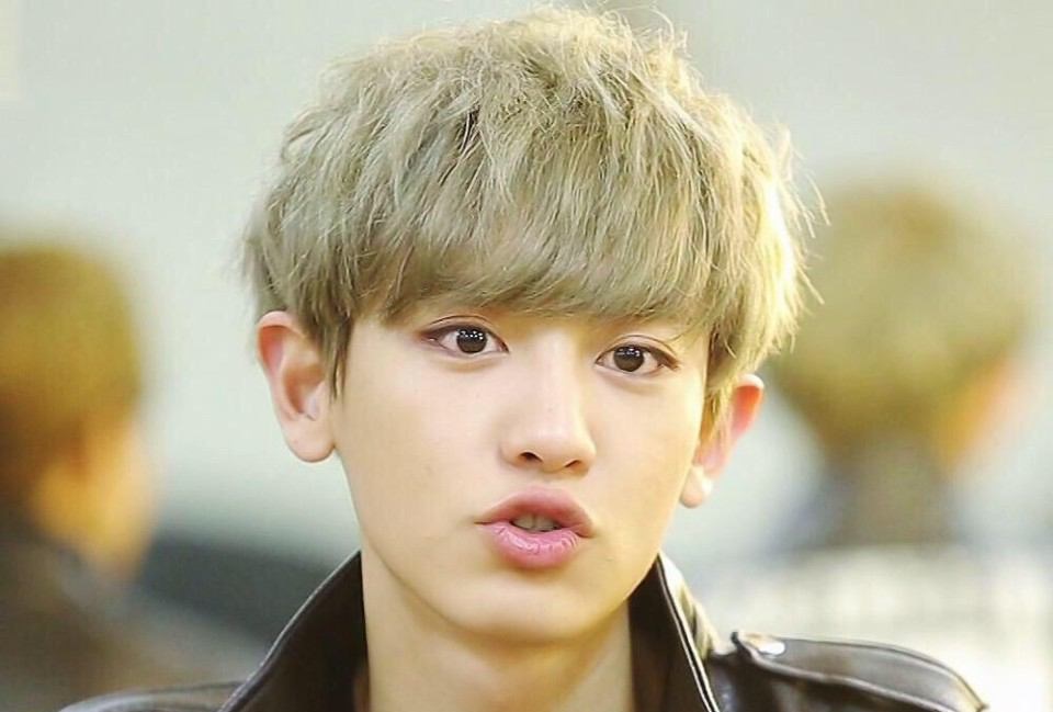 ããã£ãã§ã« exoãã®ç»åæ¤ç´¢çµæ