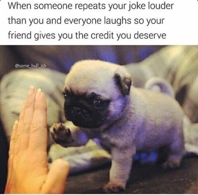 Pug puppy giving human a high five