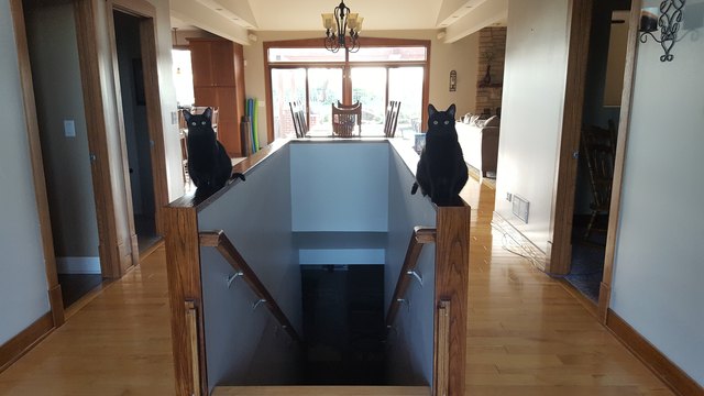 Two black cats sitting on either side of a staircase banister.