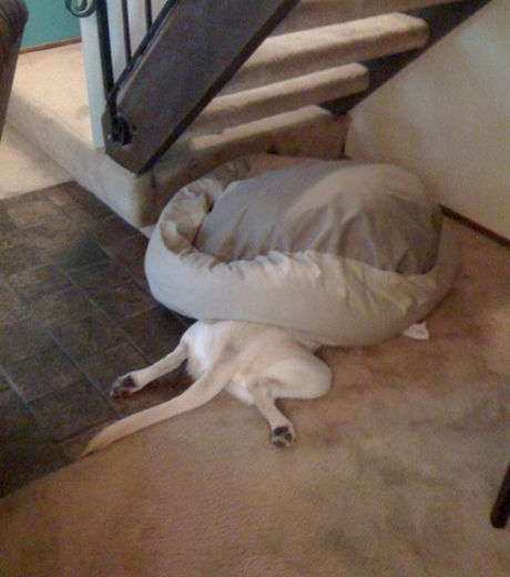 25 fotos de pessoas que não entenderam direito como a coisa funciona