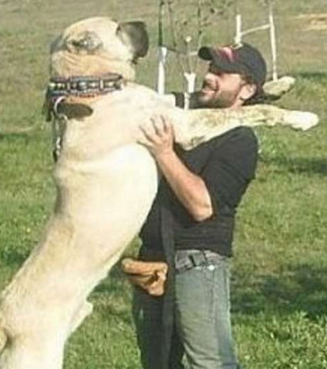 16 fotos que você terá que olhar duas vezes para entender