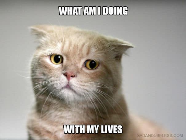 18 Hilarious Sad Cat Problems That Might Explain Why Your Cat's So ...